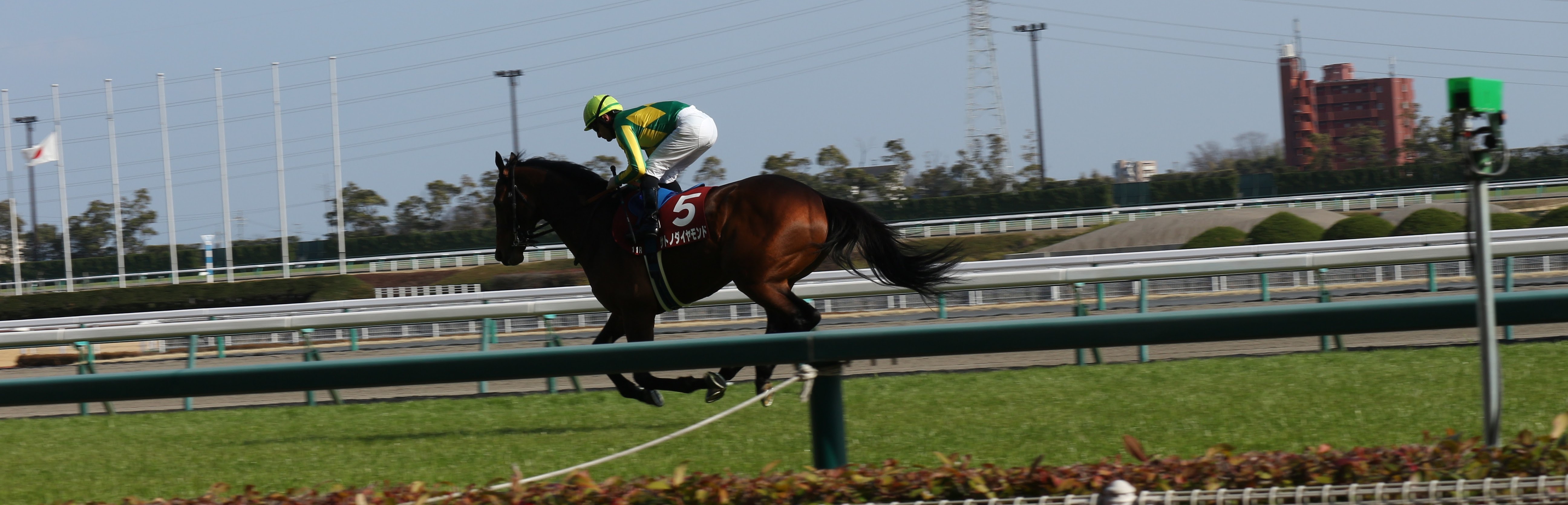 メイン画像20180311金鯱賞サトノダイヤモンド返し馬